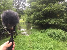 French Countryside — field recording