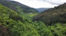 Immersive Spanish Nature — field recording