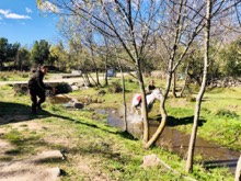 Raw Horses — field recording