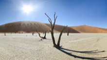 Immersive Wild Africa — field recording